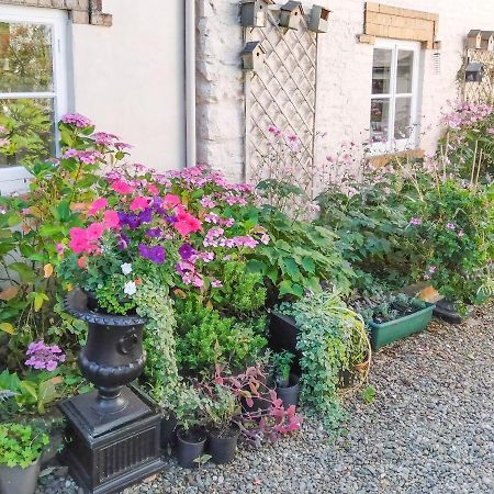 The Tower Cottage Llangollen Bagian luar foto
