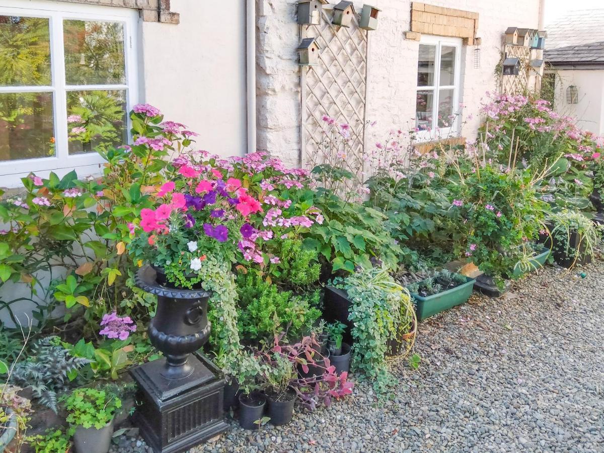 The Tower Cottage Llangollen Bagian luar foto